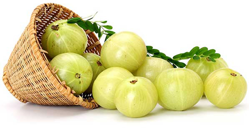 আমলকি কেন খাবেন?