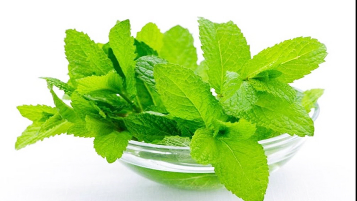 তুলসি পাতা কেন খাবেন?