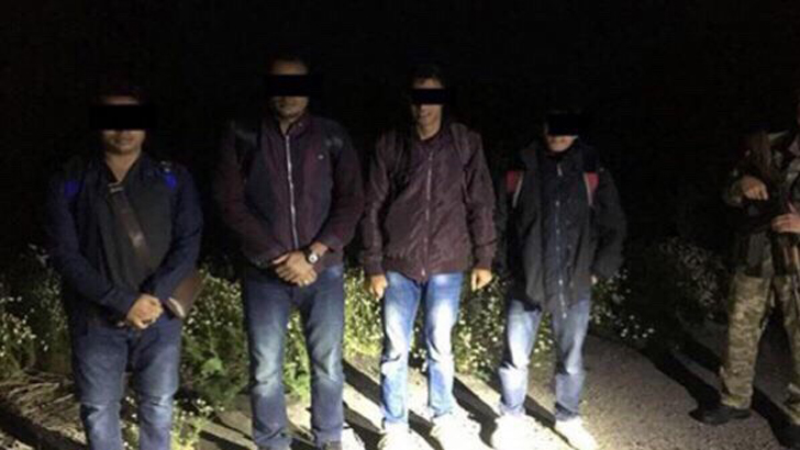 Gozal Bella Vudman bilan porno tomosha qiling Trannies bir-biriga siljiydi