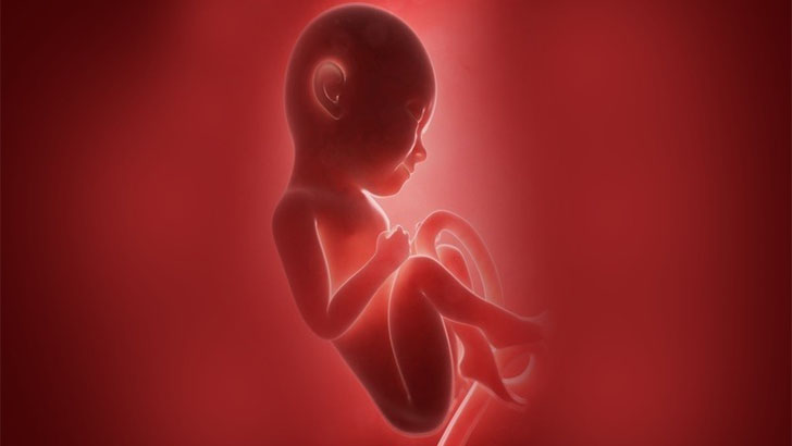 পুত্র না কন্যা সন্তান চাই? নির্ধারণ করবে দম্পতি নিজেই!