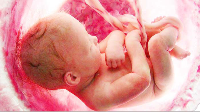 সন্তান ছেলে না মেয়ে দায় কার?