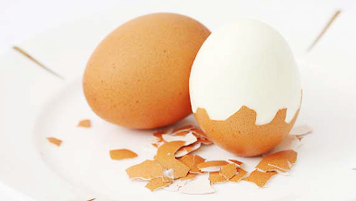 ডিমের খোসার উপকারিতা