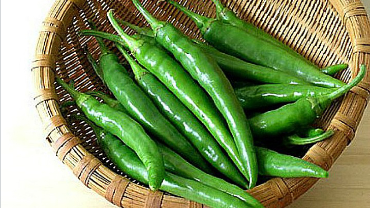 দীর্ঘদিন  কাঁচা মরিচ তাজা রাখার উপায়