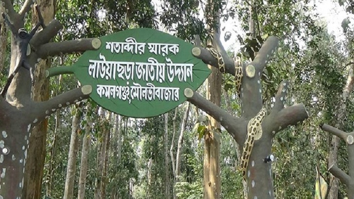 ভালো নেই লাউয়াছড়া