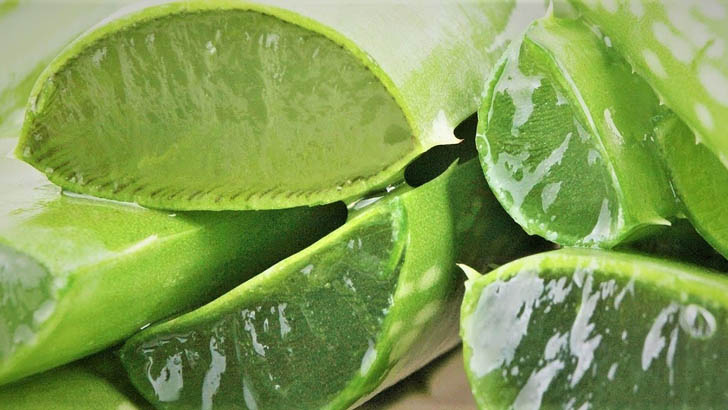 গরমে ত্বকের যত্নে অ্যালোভেরা প্যাক