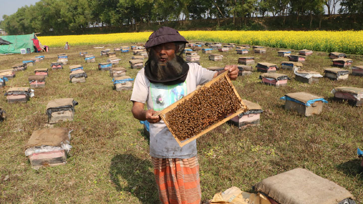 রাজবাড়ীতে মধু সংগ্রহে ব্যস্ত মৌচাষিরা