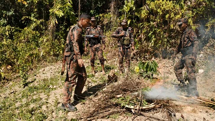 নিষিদ্ধ পপির বিরুদ্ধে থানছিতে অভিযান