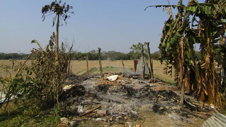 আমতলীতে ঘুমন্ত বৃদ্ধাকে পুড়িয়ে হত্যা