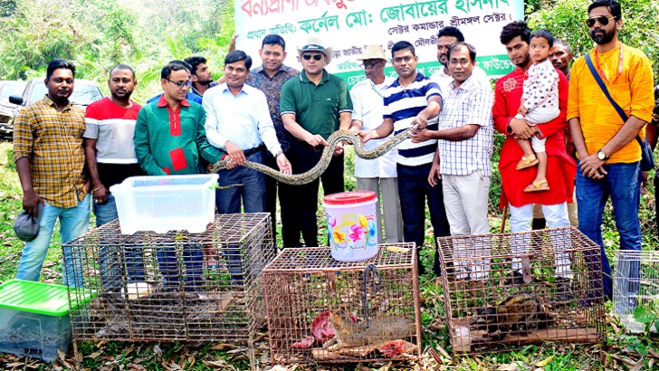 স্বাধীনতা দিবসে মুক্ত হলো ১১ বন্যপ্রাণী