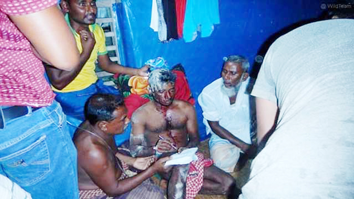 কাঁকড়া ধরতে গিয়ে সুন্দরবনে বাঘের থাবায় জেলে