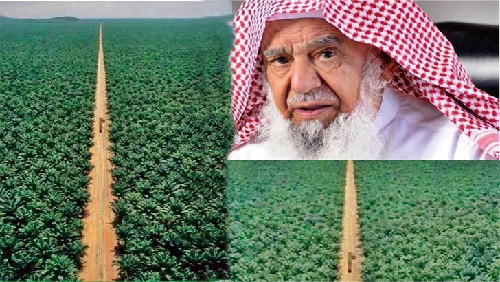 বিশ্বের সবচেয়ে বড় খেজুর বাগান (ভিডিও)