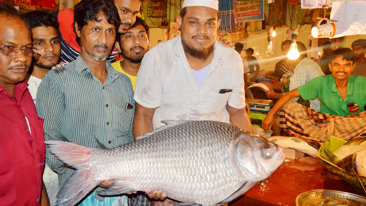 রাজশাহীর বাজারে ৩০ কেজি ওজনের কাতল