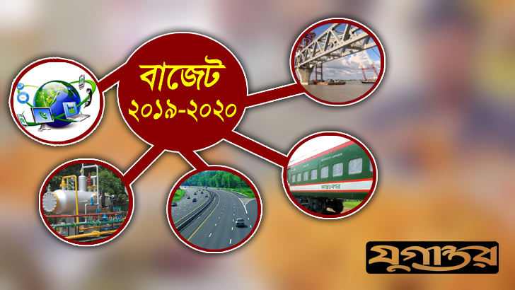 বাজেটে ‘রাজহাঁসের’ মরণ দশা : অ্যামটব