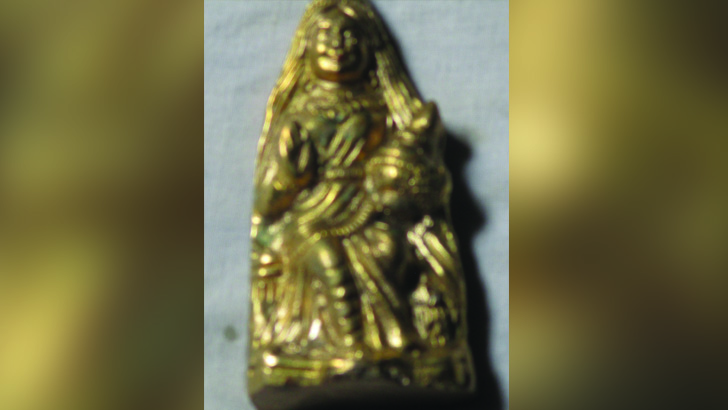 সাত কলস গুপ্তধনের লোভে সর্বস্বান্ত ঠাকুরগাঁওয়ের কৃষক!