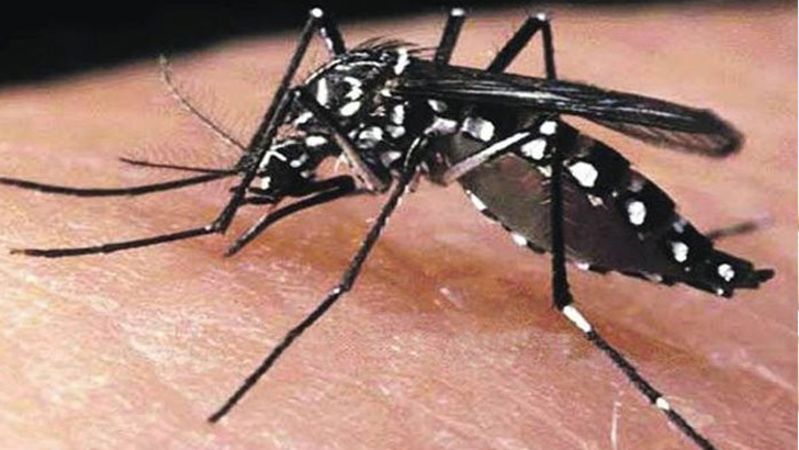 রাজশাহীর ৮ জেলায় ২৯৯ জন ডেঙ্গুজ্বরে আক্রান্ত