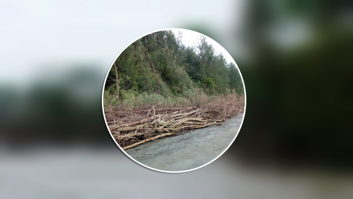 নলবুনিয়ার চর পর্যটকদের পদভারে মুখর