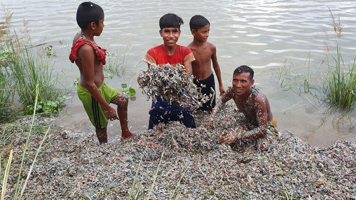 বগুড়ার বিলে নোটের টুকরো, পৌরসভার ৩ কর্মকর্তাকে শোকজ