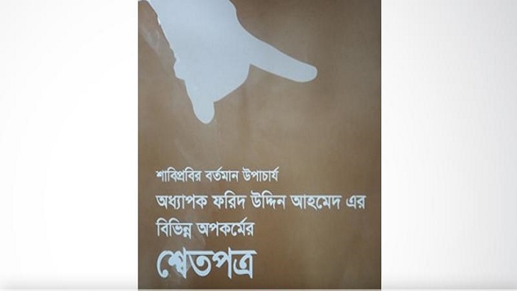 এই শ্বেতপত্র কতটা যৌক্তিক?