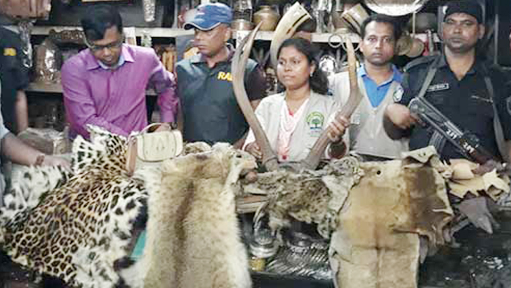 পরীবাগে বিভিন্ন প্রজাতির বন্যপ্রাণীর ২৮৮টি ট্রফিসহ চামড়া উদ্ধার