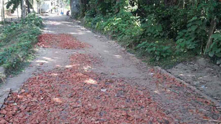 ভুরুঙ্গামারীতে বিএসএফের বাঁধায় রাস্তা-বাড়ি নির্মাণ বন্ধ