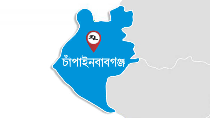চাঁপাইনবাবগঞ্জে অস্ত্র ও গুলিসহ ভারতীয় দম্পতি গ্রেফতার