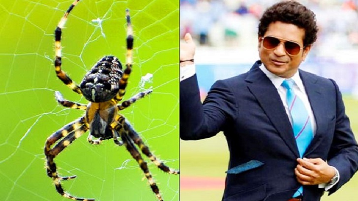 টেন্ডুলকারের নামে মাকড়সার নামকরণ