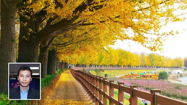 ঝরা পাতা