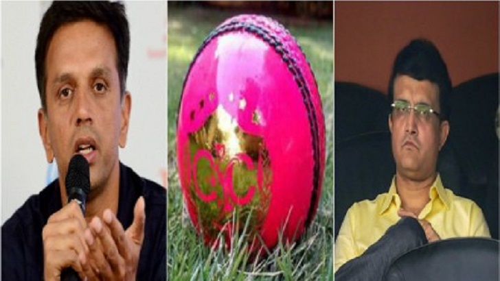 গোলাপি বলে টেস্ট, সৌরভের সঙ্গে ভিন্নমত দ্রাবিড়ের