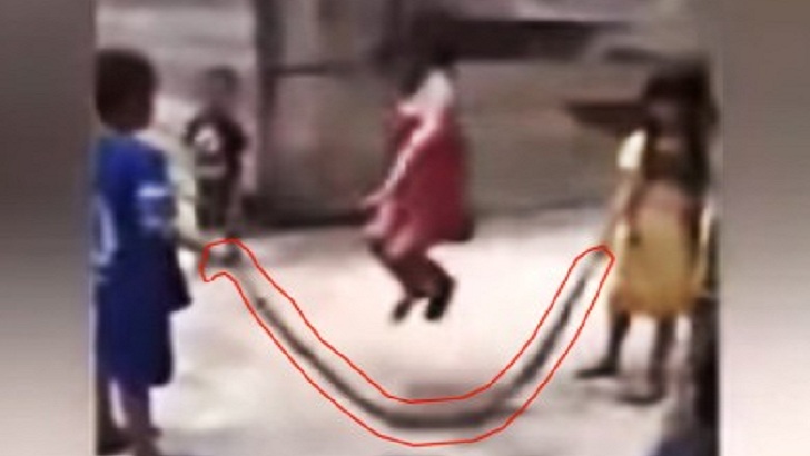 বিশাল সাপ দিয়ে শিশুদের ‘‌‌‌দড়ি’ খেলার ভিডিও ভাইরাল