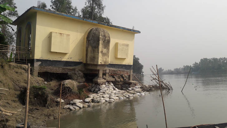 টঙ্গীবাড়ীতে পদ্মায় হেলে পড়া মসজিদে নামাজ আদায়