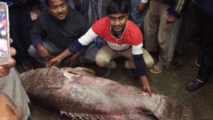 দরিদ্র জেলের ৭৪ কেজির মাছ বাজেয়াপ্ত করল বন দফতর!