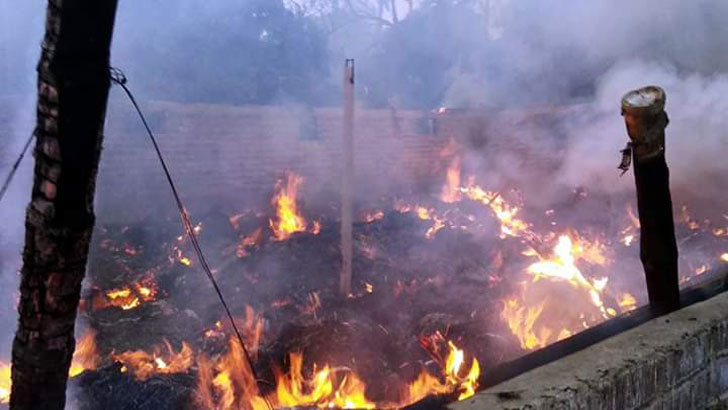 দিনাজপুরে খামারে আগুনে পুড়ল ৪৫ ছাগল