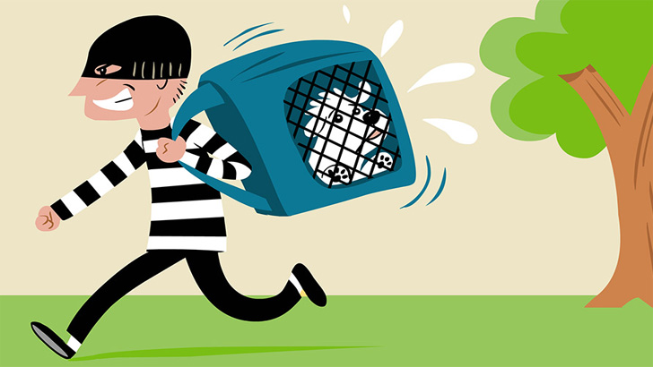 ১৭ জানুয়ারি: হাসতে নেই মানা