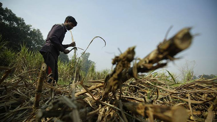 ভারতকে শান্ত করতে নতুন উদ্যোগ মালয়েশিয়ার