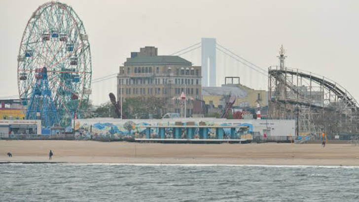 নিউইয়র্কের সমুদ্রে ধরা পড়ল অদ্ভুত প্রাণী