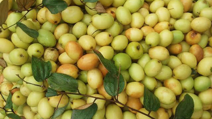 উচ্চ রক্তচাপ ডায়াবেটিস নিয়ন্ত্রণ করবে যে ফল