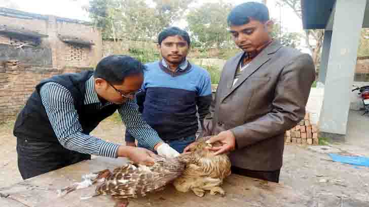 রাস্তা ভুলে বাংলাদেশে ভারতীয় ঈগল!