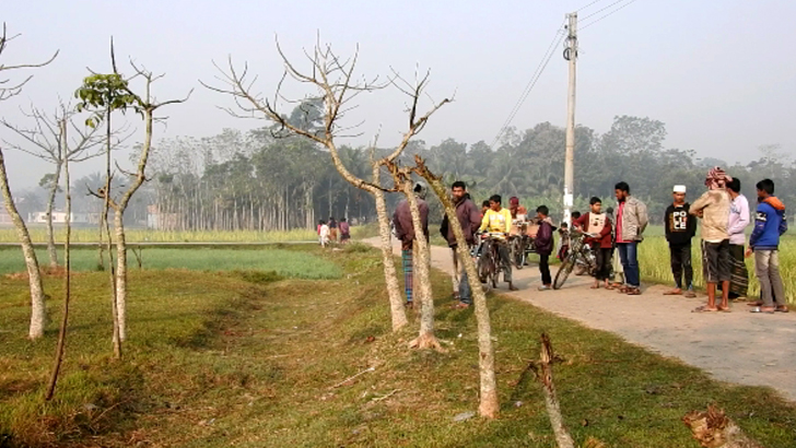 মাগুরায় ‘বন্দুকযুদ্ধে’ ২ যুবক নিহত, পুলিশের দাবি ডাকাত