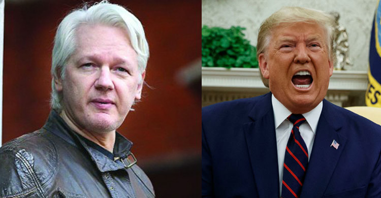 যে কারণে জুলিয়ান অ্যাসাঞ্জকে ক্ষমা করতে চেয়েছিলেন ট্রাম্প