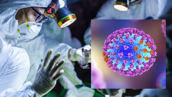 ৩ সেকেন্ডেই মরবে করোনাভাইরাস! বিজ্ঞানীদের ব্যাখ্যা