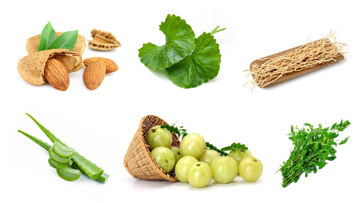 চুলের যত্নে প্রয়োজনীয় ৬ হারবাল উপাদান