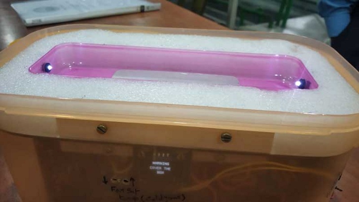 ডায়াবেটিস রোগীদের জন্য সুখবর