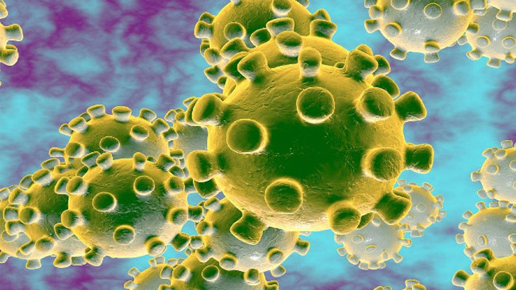 করোনার বিপদ ভয়, করোনার আপদ আগুন