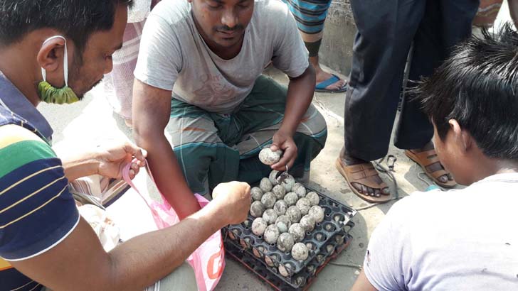 করোনাভাইরাসের প্রভাবে হাঁসের ডিম ২০ টাকা হালি!