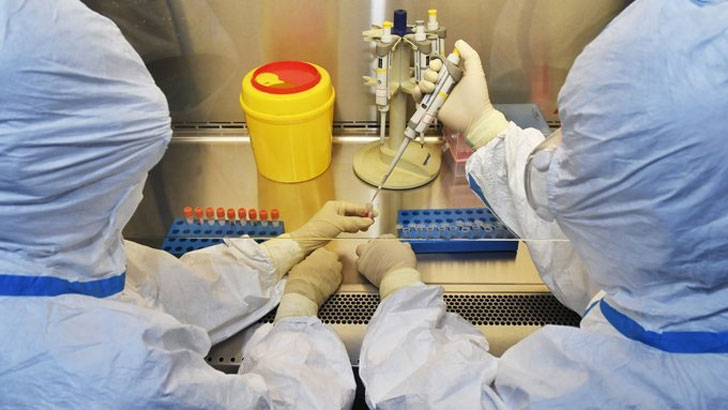 করোনাভাইরাস অনেক বছর আগে থেকেই বিদ্যমান ছিল: গবেষণা