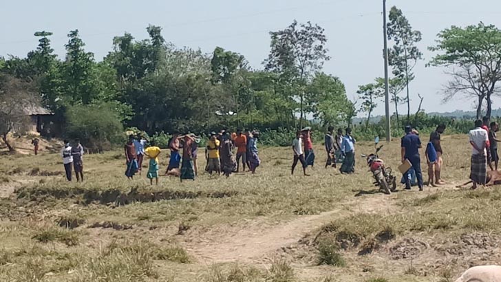 দিরাইয়ে আধা ঘণ্টার ব্যবধানে মারা গেল ১১টি গরু