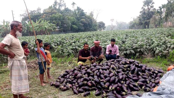 ‘নষ্ট হওয়ার চেয়ে মানুষে খাক’