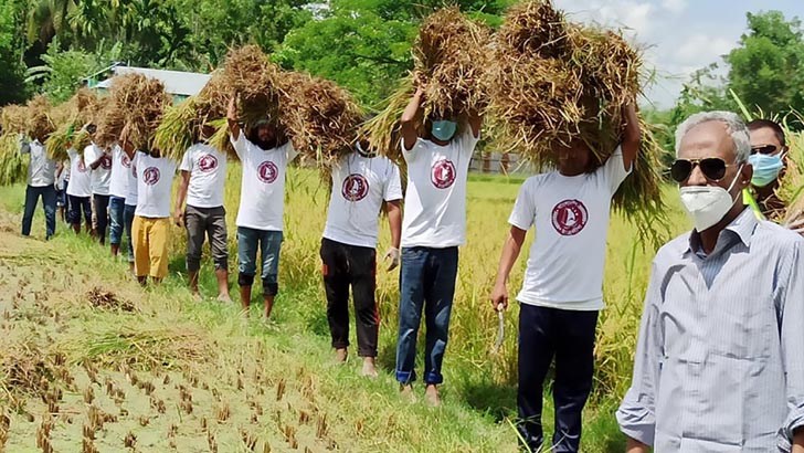 গৌরীপুরে ছাত্রলীগের সঙ্গে ধান কাটলেন এমপি ও ওসি