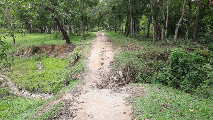 শ্রীমঙ্গলে বেরিয়ে এলো দুই সরকারি কর্মকর্তার থলের বিড়াল!