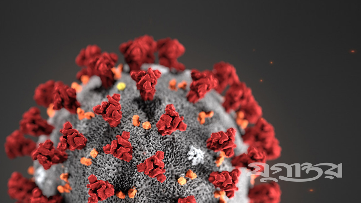 অদৃশ্য ভাইরাসটি মানবদেহে কীভাবে আক্রমণ করে